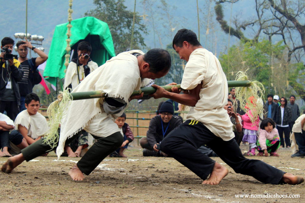 Bamboo Polling